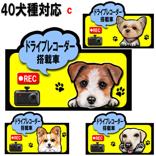 ドライブレコーダー 犬 ステッカー シール グッズ 雑貨 ウェスティ ビーグル シェルティ ペキニーズ ヨーキー パピヨン ゴールデンレトリバー ジャックラッセルテリア ビーグル ラブラドールレトリバー 車 オーナーグッズ 車 敬老の日