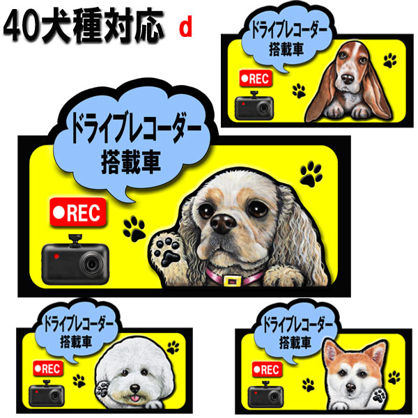 父の日 プレゼント ドラレコ ステッカー かわいい ドライブレコーダー 犬 ステッカー シール グッズ 雑貨 アメリカンコッカースパニエル ビションフリーゼ ラブラドール ミニチュアシュナウザー 狆 バセットハウンド シェッドランドシープ 録画 甲斐犬 車 プレゼント