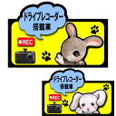 ドラレコ ステッカー かわいい うさぎ ウサギ ドライブレコーダー ステッカー 録画中 犬 シール マグネット グッズ 雑貨 ラッピング 車 オーナーグッズ あ...