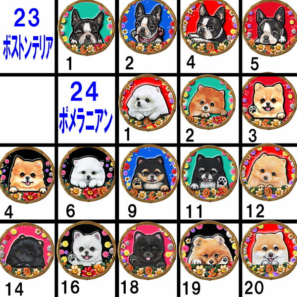 c 柴犬 キャバリア ポメラニアン パグ ヨーキー ジャックラッセルテリア ペキニーズ シェルティ パピヨン ビーグル ビションフリーゼ イタグレ ボーダーコリー 1000円ポッキリ ナスカン キーホルダー 2個セット チワワ トイプードル シーズー ダックスフンド 柴犬 フレンチブルドッグ コーギー マルチーズ シュナウザー 柴犬 グッズ 雑貨 オリジナル 手作り ノベルティ 自作 ハロウィン