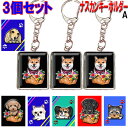 ナスカン キーホルダー 3個セット チワワ トイプードル シーズー ダックスフンド 柴犬 フレンチブルドッグ コーギー マルチーズ シュナウザー グッズ 雑貨 ...