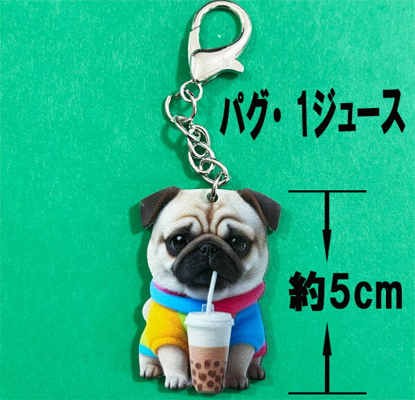 1000�ߥݥå��� ����̵�� �ѥ� �����ۥ���� �Хå����㡼�� ���å� ���� �ѥ��� �ѥ� �İ��� �ɥå� �ץ쥼��� �ѥ����å� �� �� �� ���å� ���� �ѥ��� �������ץ쥼��� ������ ����� ����� �ץ쥼���