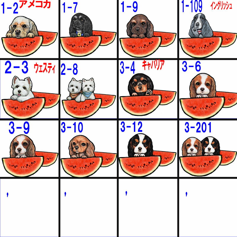 スイカ 模様 キッズ 子供 子ども 犬 グッズ 雑貨 誕生日プレゼント ヨーキー ウェスティ パピヨン ビーグル シェルティ ビションフリーゼ ラブラドールレトリバー シベリアンハスキー ラブラドール ミニチュアシュナウザー 誕生日 バレンタイン プレゼント