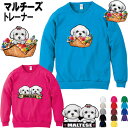 マルチーズ 犬柄 厚地 トレーナー 犬 オリジナル シャツ グッズ 雑貨 誕生日 ラッピング オーナーグッズ レディース メンズ 可愛い 誕生日プレゼント オー...