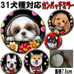 https://thumbnail.image.rakuten.co.jp/@0_mall/petchan/cabinet/mirror/mi.jpg