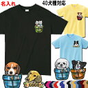 犬 tシャツ レディース おもしろ 名入れ 犬柄 グッズ 雑貨 半袖 ビーグル シェルティ ペキニーズ ヨーキー ボストンテリア ジャックラッセルテリア キャバリア パグ マルチーズ コーギー ラブラドールレトリバー バーニーズマウンテンドッグ 母の日 父の日 プレゼント