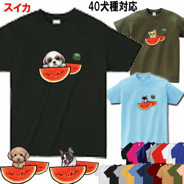 犬 tシャツ レディース おもしろ 父の日 プレゼント スイカ 柄 Tシャツ グッズ 犬 グッズ 雑貨 誕生日プレゼント シーズー トイプードル チワワ 柴犬 柴犬グッズ シュナウザーグッズ シュナウザー ダックスフンド フレンチブルドッグ 専門店 誕生日プレゼント