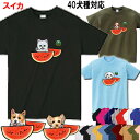 犬 tシャツ レディース おもしろ スイカ 柄 グッズ 犬 グッズ 雑貨 誕生日プレゼント ポメラニアン キャバリア コーギー パグ マルチーズ パググッズ 黒...