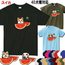 スイカ 柄 Tシャツ 犬 グッズ 雑貨 誕生日プレゼント ヨーキー ウェスティ パピヨン ビーグル シェルティ ビションフリーゼ ラブラドールレトリバー シベリアンハスキー ラブラドール ミニチュアシュナウザー ボストンテリア 誕生日 好き プレゼント クリスマス プレゼント