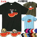 犬 tシャツ レディース おもしろ スイカ 柄 犬 グッズ 雑貨 誕生日プレゼント シェパード スピッツ バーニーズマウンテンドッグ アメリカンコッカースパニエ...