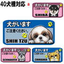 1000円ポッキリ 犬がいます ステッカー シール マグネット 番犬 猛犬 脱走防止 犬 イヌ いぬ ペット 玄関 ポスト 表札 案内 表示 セキュリティ 防犯...