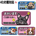 1000円ポッキリ 犬がいます ステッカー シール マグネット 番犬 猛犬 脱走防止 犬 イヌ いぬ ペット 玄関 ポスト 表札 案内 表示 セキュリティ 防犯...