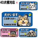 1000円ポッキリ 犬がいます ステッカー シール マグネット 番犬 猛犬 脱走防止 犬 イヌ いぬ ペット 玄関 ポスト 表札 案内 表示 セキュリティ 防犯...