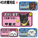 1000円ポッキリ 犬がいます ステッカー シール マグネット 番犬 猛犬 脱走防止 犬 イヌ いぬ ペット 玄関 ポスト 表札 案内 表示 セキュリティ 防犯...