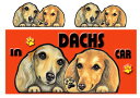 名入れ ダックスフンド 雑貨 グッズ 名入れ 犬 ステッカー ダックス 204 犬 ミニチュアダックスフンド ミニチュアダックス ネーム入れ シール 雑貨 グッ...