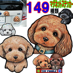 母の日 プレゼント マグネット 犬 ステッカー トイプードル ステッカー グッズ 雑貨 車に貼る 犬 ステッカー 肉球 犬のステッカー グッズ 雑貨 プードル かわいい 車ステッカー カー dog 可愛い ドッグ 犬ステッカー dog in car トイプードルステッカー 車 プレゼント