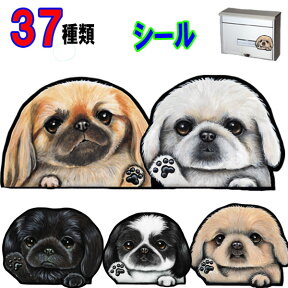 母の日 プレゼント 1000円ポッキリ 犬 ステッカー おしゃれ かわいい かっこいい おしゃれ 車 オーダー メイド Sサイズ 肉球 スーツケース 玄関 足跡 犬 ステッカー ペキニーズ 雑貨 シール 車に貼る 車用 犬ステッカー dog in car 多頭飼い 2匹 2頭 ツインステッカー