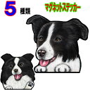 マグネット 犬 ステッカー マグネット ボーダーコリー グッズ 雑貨 車に貼る 防水 耐水 犬 ステッカー 肉球 犬のステッカー カーステッカー かわいい ボー...
