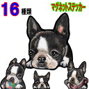 犬 ステッカー おしゃれ かわいい かっこいい おしゃれ 車 オーダー メイド Sサイズ 肉球 スーツケース 玄関 足跡 犬 ステッカー ボストンテリア グッズ...