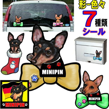 送料無料 犬 ステッカー シール ミニピン ミニチュアピンシャー グッズ 雑貨 車に貼る グッズ 雑貨 犬 ステッカー 肉球 犬のステッカー カーステッカー かわいい 車ステッカー 車用 可愛い ドッグ 犬ステッカー dog in car プレゼント