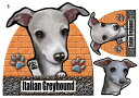 イタグレ オーダー イタリアングレーハウンド 犬 ステッカー イタグレ 5 イタリアングレーハウンド イタリアン・グレーハウンド ネーム入れ不可 シール イタグ...