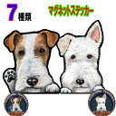 犬 ステッカー おしゃれ かわいい かっこいい おしゃれ 車 オーダー メイド Sサイズ 肉球 スーツケース 玄関 足跡 ワイヤフォックステリア 防水 マグネッ...