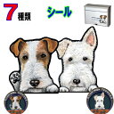 1000円ポッキリ 犬 ステッカー おしゃれ かわいい かっこいい おしゃれ 車 オーダー メイド Sサイズ 肉球 スーツケース 玄関 足跡 ワイヤフォックステ...