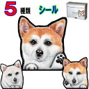 1000円ポッキリ 犬 ステッカー おしゃれ かわいい かっこいい おしゃれ 車 オーダー メイド Sサイズ 肉球 スーツケース 玄関 足跡 犬 ステッカー 秋...