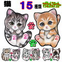 マグネット 猫 ステッカー 防水 猫 ネーム入れ不可 愛猫 雑貨 グッズ CAT IN CAR ペット CATINCAR 車 猫 ステッカー 防水 車用ステッカ...