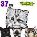 マグネット 猫 ステッカー 防水 猫 シール ネーム入れ不可 愛猫 雑貨 グッズ CAT IN CAR ペット CATINCAR 車 猫 ステッカー 防水 車用...