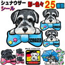 1000円ポッキリ 犬 ステッカー おしゃれ かわいい かっこいい おしゃれ シュナウザー シュナウザー 柄 グッズ 雑貨 シール 車に貼る 車 オーダー メイ...