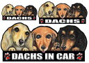 犬 ステッカー ダックスフンド 30 雑貨 グッズ シール 車に貼る ダックスフンド ダックスフンド 雑貨 グッズ 犬 ステッカー 肉球 犬のステッカー グツズ...