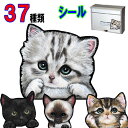 猫 ステッカー 防水 猫 シール ネーム入れ不可 愛猫 雑貨 グッズ CAT IN CAR ペット CATINCAR 車 猫 ステッカー 防水 車用ステッカー ...