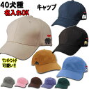 名入れ 帽子 キャップ お散歩用 犬 グッズ 雑貨 ゴールデンレトリバー シベリアンハスキー アメリカンコッカースパニエル ラブラドール シュナウザー スピッツ ミニピン フォックステリア イタグレ 誕生日 母の日 父の日 プレゼント