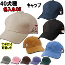 名入れ 帽子 カラー キャップ お散歩用 グッズ 雑貨 マルチーズ ヨーキー ジャックラッセルテリア ペキニーズ ミニピン シェルティ パピヨン ボーダーコリー...