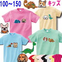 犬 tシャツ キッズ 子ども 男の子 犬 グッズ 雑貨 誕生日プレゼント ポメラニアン キャバリア コーギー パグ マルチーズ パググッズ 黒柴 ペキニーズ 黒...
