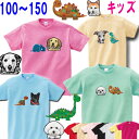 キッズ Tシャツ 子ども 男の子 犬 グッズ 雑貨 誕生日プレゼント シェパード スピッツ バーニーズマウンテンドッグ アメリカンコッカースパニエル ゴールデンレトリバー ミニピン ホワイトテリア フォックステリア イタグレ 誕生日 好き プレゼント 母の日