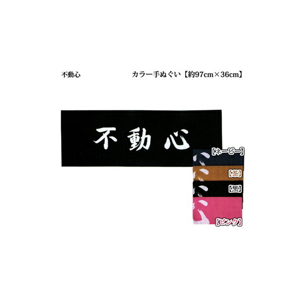 剣道 カラー手ぬぐい 文字「不動心」