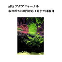 ylR|X280~ΉzuANAEW[i AJ AQUA JOURNALvVol.244@WwTHE GREATEST NATURE AQUARIUM jő̃lC`[ANAEx ANAW[i