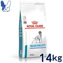 楽天ペットCURE DgS 楽天市場店ロイヤルカナン　犬用　セレクトスキンケア　14kg　[食事療法食]