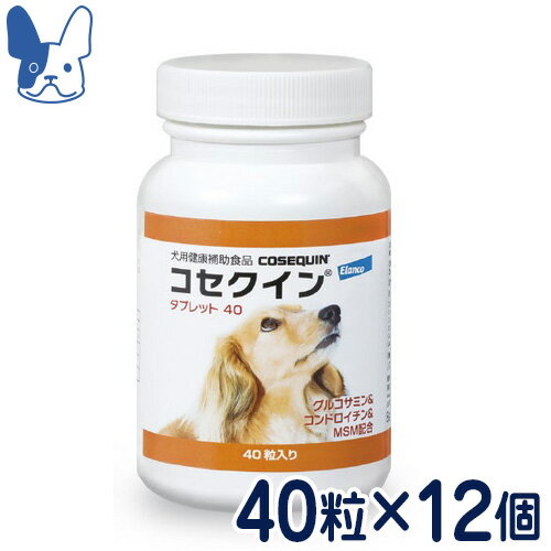 �G�����R�@�R�Z�N�C���@�^�u���b�g40�@40���~12�Z�b�g�@�m���p���N�⏕�H�i�n