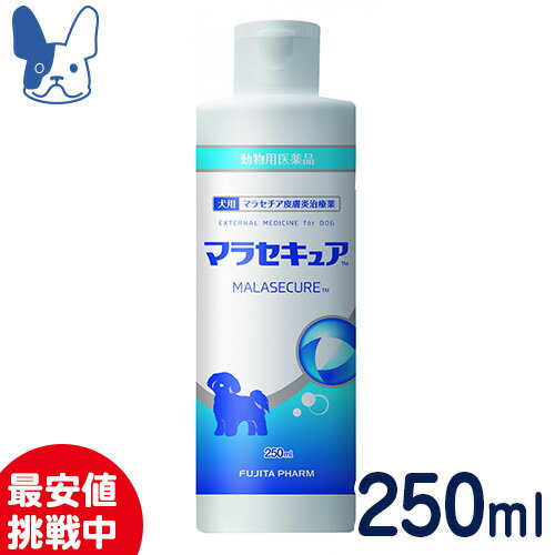 【SALE】マラセチア皮膚炎治療薬　犬用　マラセキュアシャンプー　250ml　[動物用医薬品]［国産］