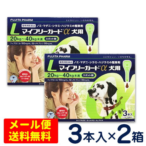 特価SALE！マイフリーガードα　犬用　L(20〜40kg)　3本入り×2個セット　 [4箱までメール便対応・代引き不可]　ノミ・マダニ駆除剤