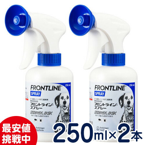 【SALE】フロントラインスプレー　250ml×2個セット（使用期限：2023年12月）【まとめ買いがお得！】