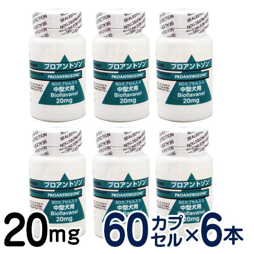 楽天ペットCURE DgS 楽天市場店【お取寄せ品】共立製薬　プロアントゾン　20mg　×6個セット　[中型犬用健康補助食品]