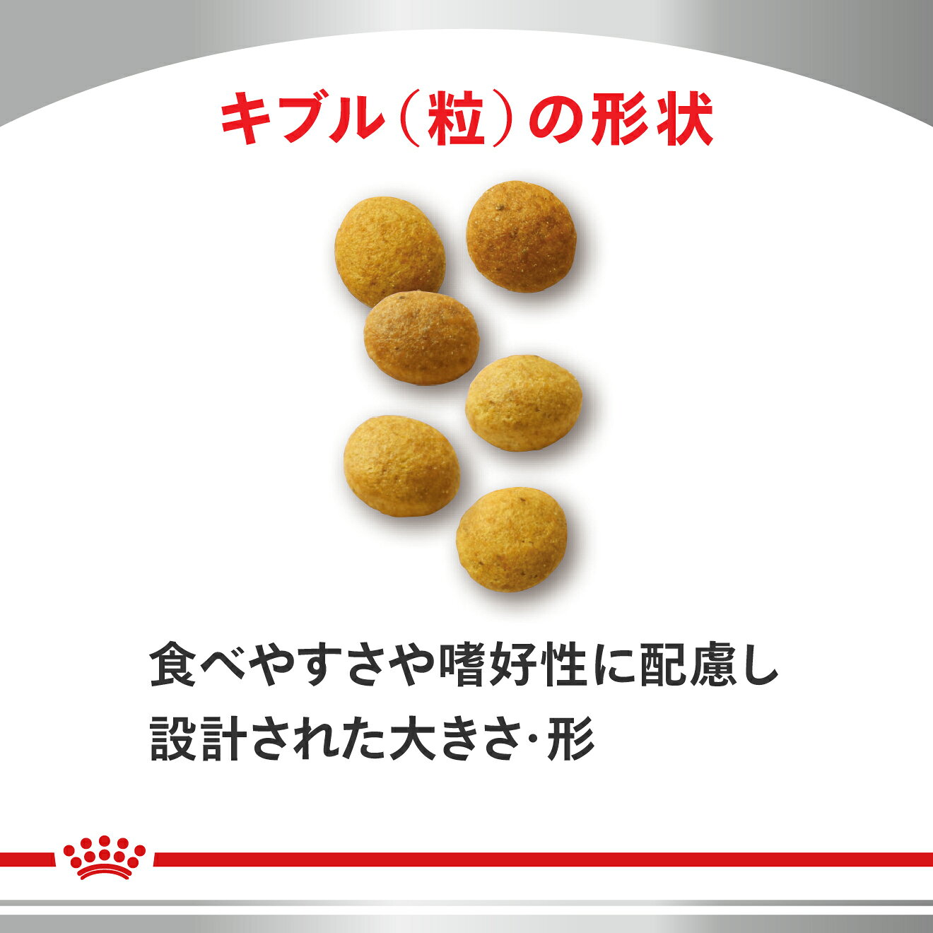 サンプル画像3