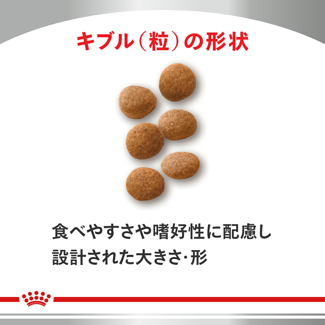 サンプル画像3