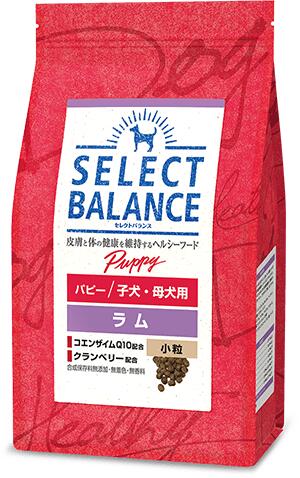 セレクトバランス　犬用　パピーラム小粒　1kg