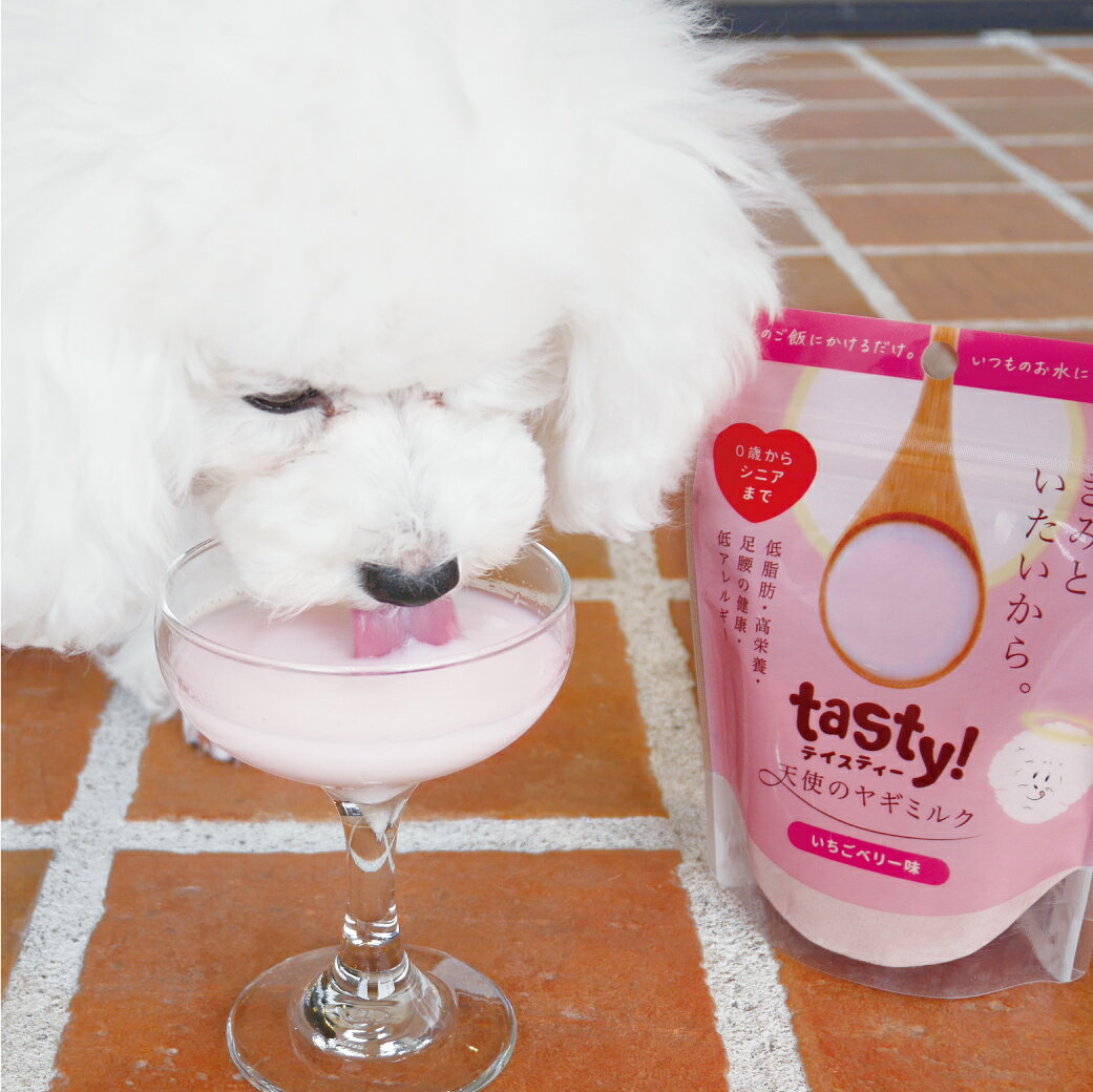 ［正規品］【wancom】 tasty!天使のヤギミルク いちごベリー味 80g≪4580414210814≫ petdyna-10000398 ペットファミリーダイナ楽天市場店 サンプル画像3