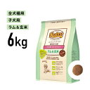 ［正規品］ニュートロ ナチュラルチョイス 全犬種用 ラム＆玄米 子犬用 6kg 《JAN:4562358786648》